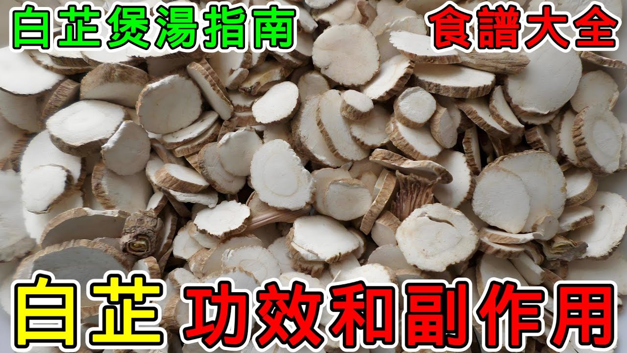 白芷是什麼？白芷是當歸嗎？白芷的功效與作用，白芷的副作用和禁忌是什麼？白芷煲湯指南，白芷羊肉湯的做法，白芷川芎魚頭湯的做法？