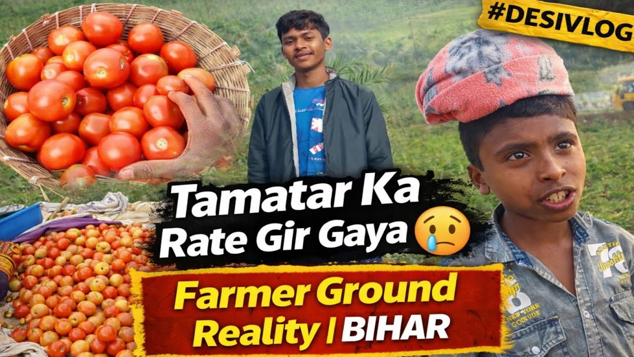 “Tamatar Ka Rate Gir Gaya 😢 | Farmer Ground Reality | BIHAR ” ||| #desivlog 