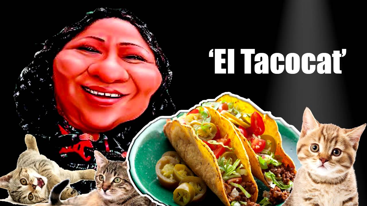 La Tía Portola recomienda comer su riquísimo 'TacoCat'