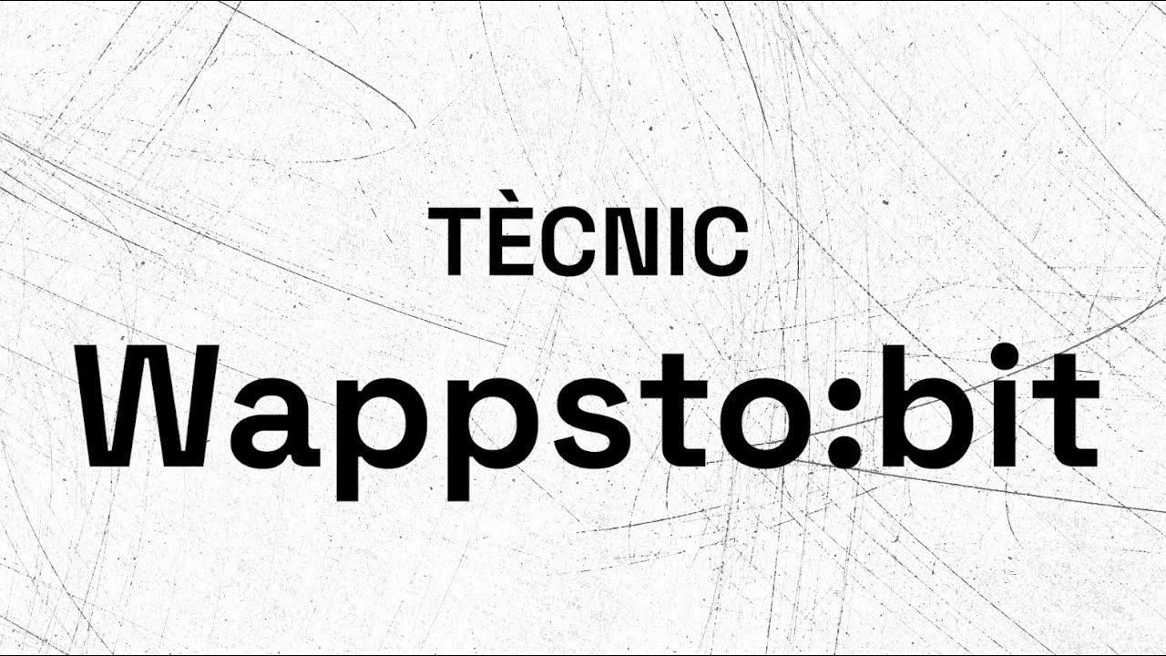 Tècnic Wappsto:bit