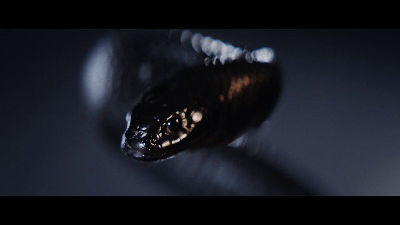 Introducing the Jaguar XJR 575