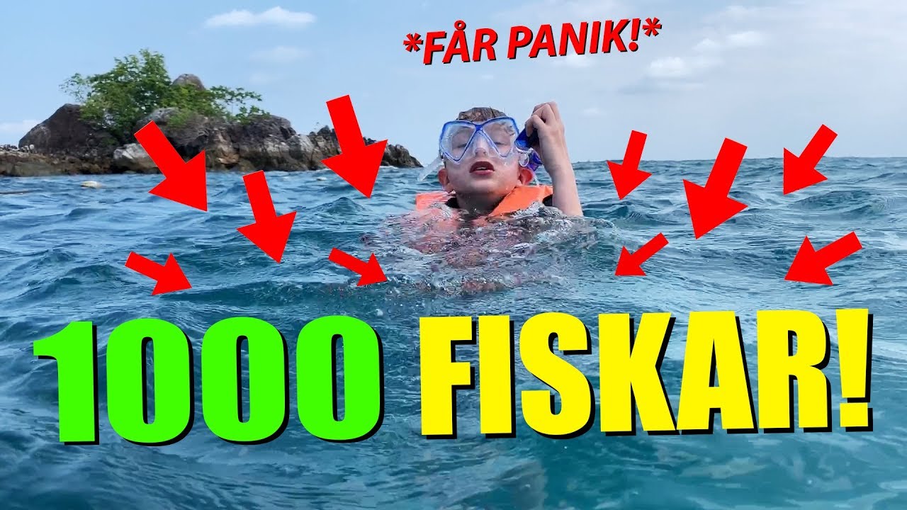 THAILAND VLOGG #2 &rarr; DYKER MED 1000 FISKAR *hj&auml;lp!*  |  Crash Brothers