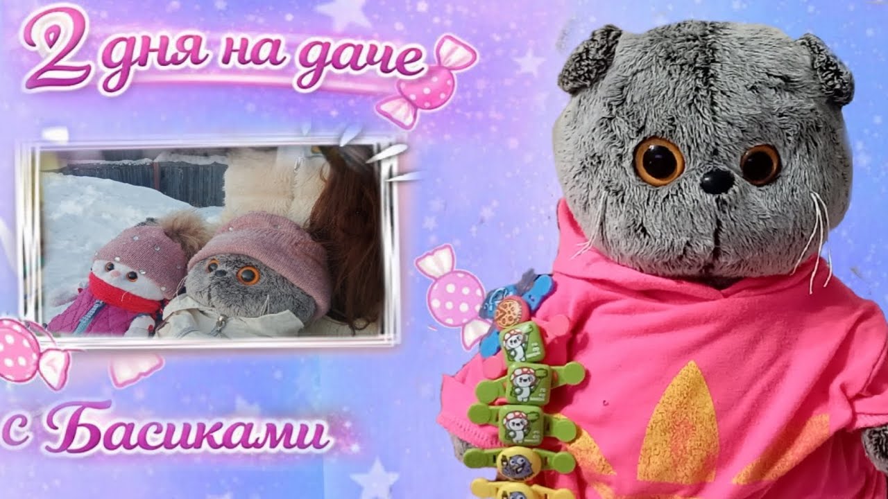 2 ДНЯ НА ДАЧЕ С БАСИКАМИ | БУДИБАСИКИ 
