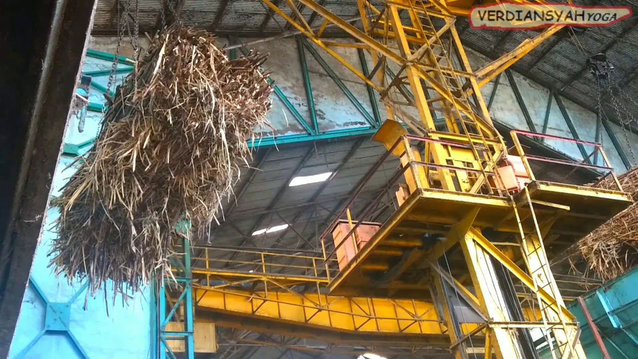 SUASANA GILINGAN TEBU awal proses pembuatan gula