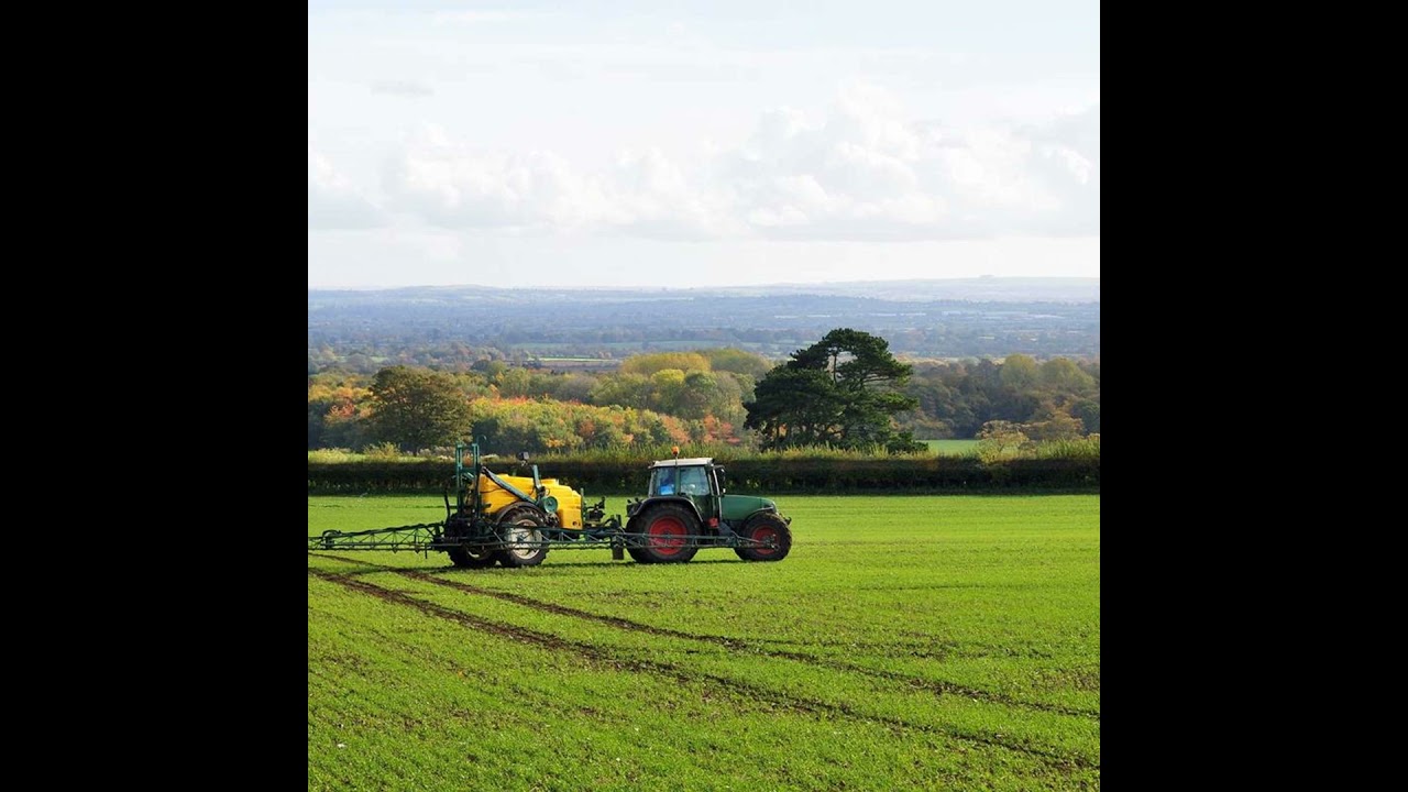 Post-emerge weed control and aphid control in winter cereals