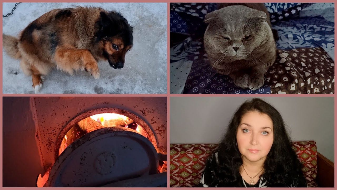 СПАСИБО ТЕМ, КТО ПОДДЕРЖАЛ. ВРЕМЕНА СТРЕССА.