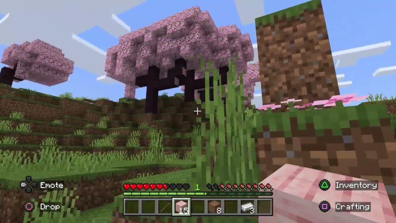 Minecraft part 2