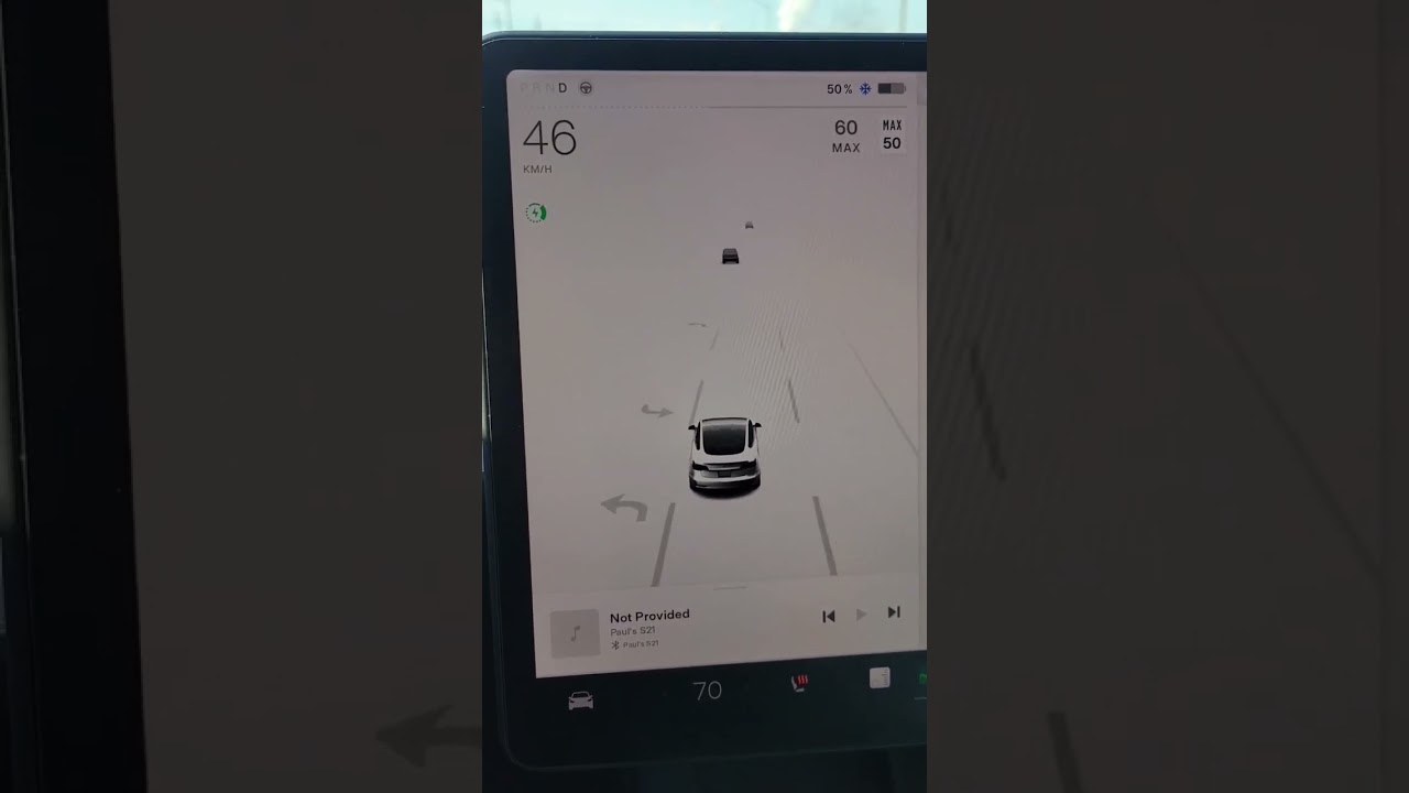 Regen braking stops working in extreme cold weather #teslamodel3 #tesla