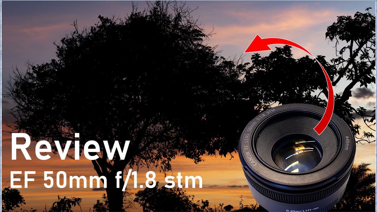 Canon EF 50mm f 1.8 STM - Review e fotografia de natureza !