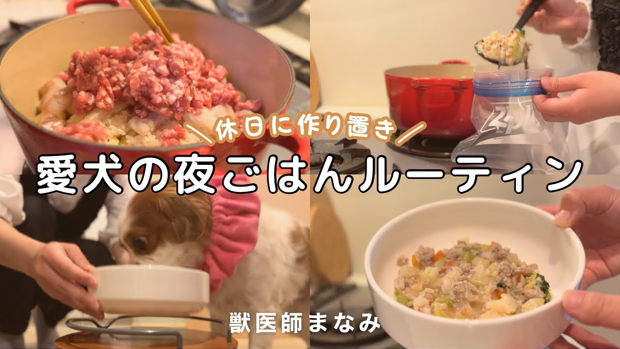 【手作り犬ごはん】獣医が作るリアルごはん記録🍳