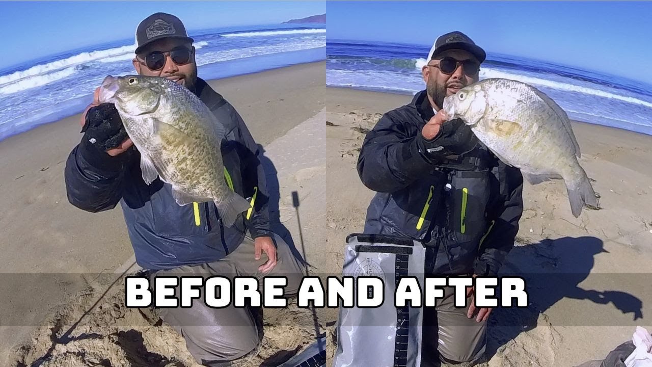 Winter Colors on Surf Perch and making them better to eat