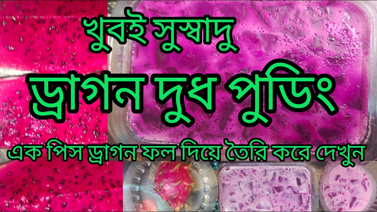 খুবই সুস্বাদু ড্রাগন দুধ পুডিং এক পিস ড্রাগন ফল দিয়ে তৈরি করে দেখুন | Pudding Recipe @limasjourney