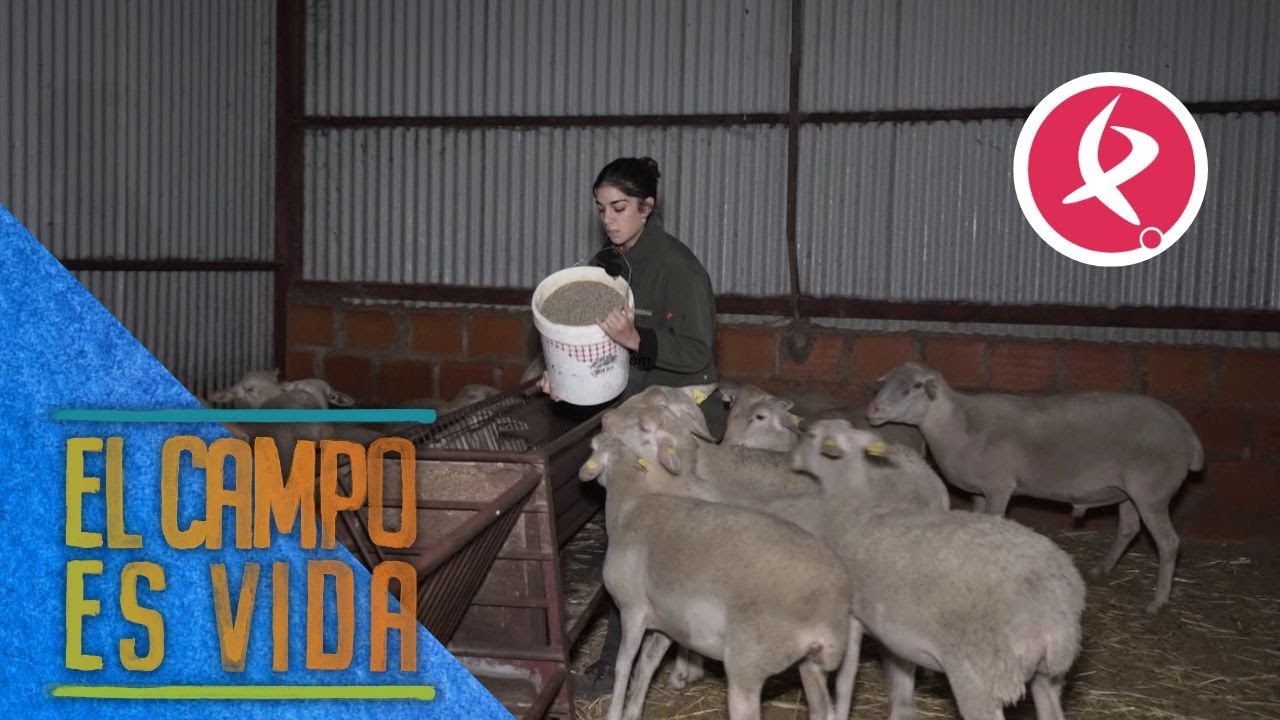 El día de Esther comienza muy temprano | El campo es vida