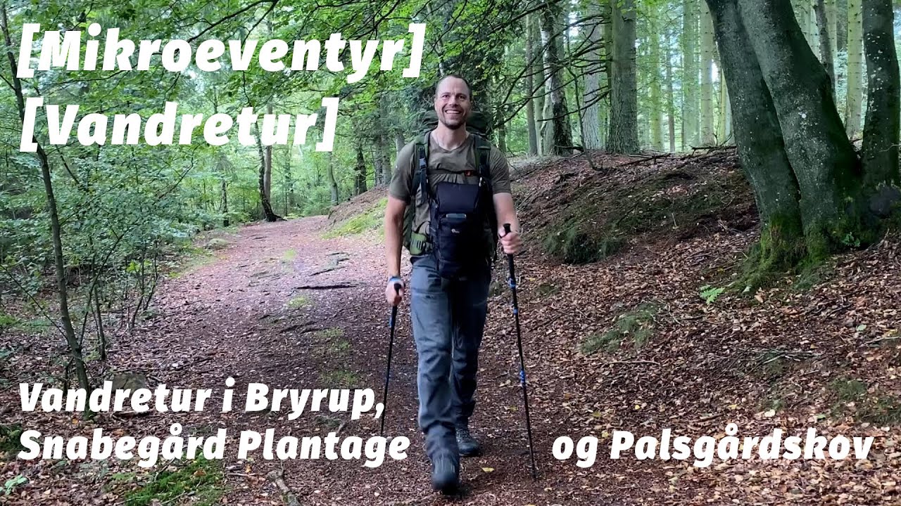 Vandretur ved Bryrup, Snabegård Plantage og Palsgårdskov [Mikroeventyr]