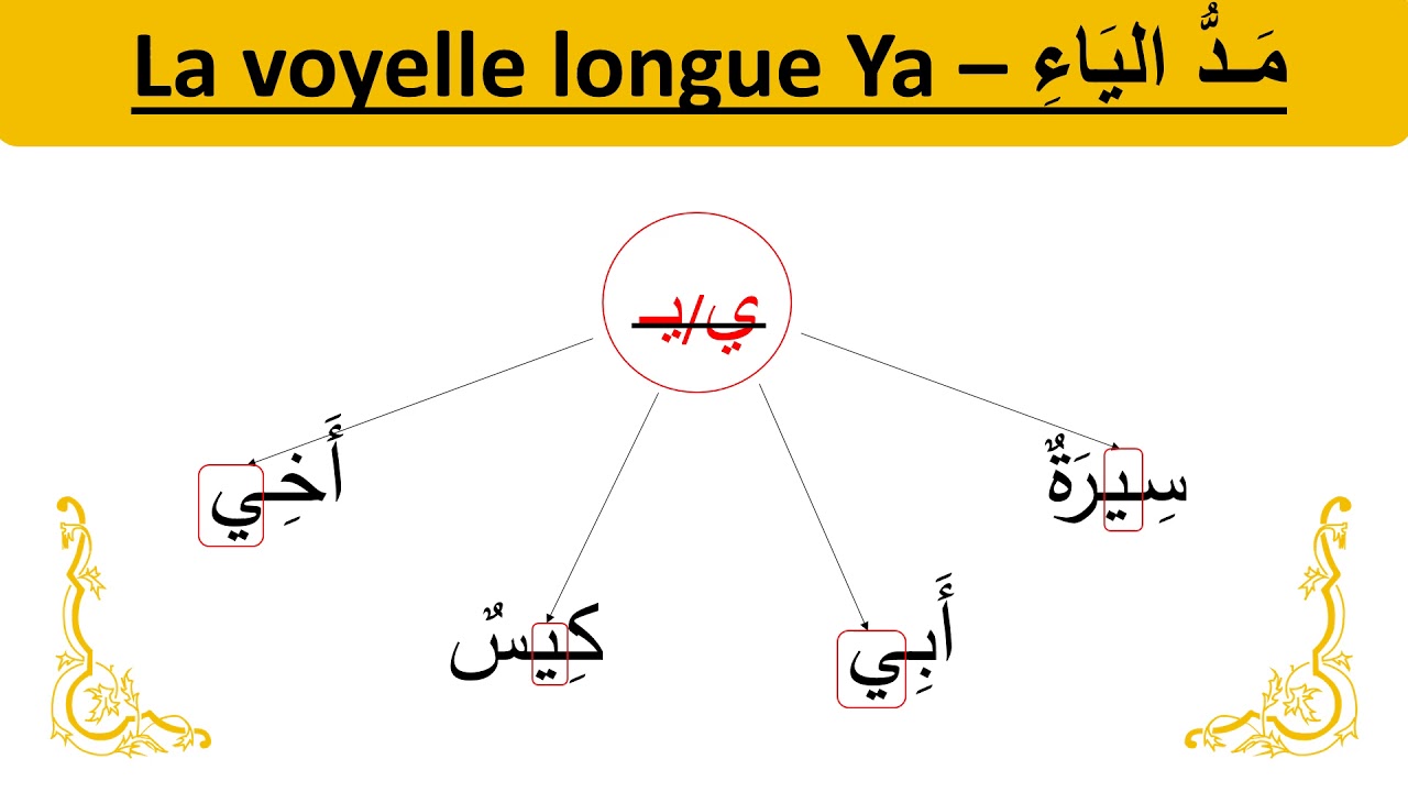 J'apprends la langue arabe facilement, vidéo 03 - Les voyelles longues