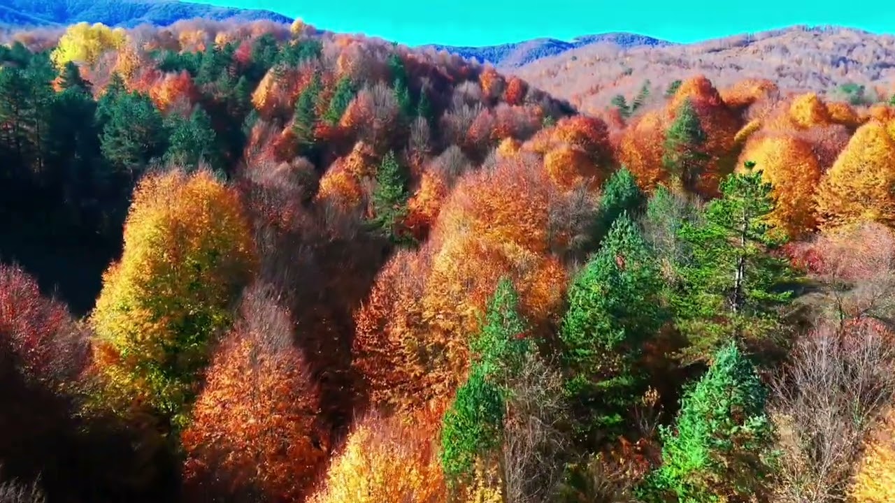 Alaçam ormanları İnegöl, Bursa'ya