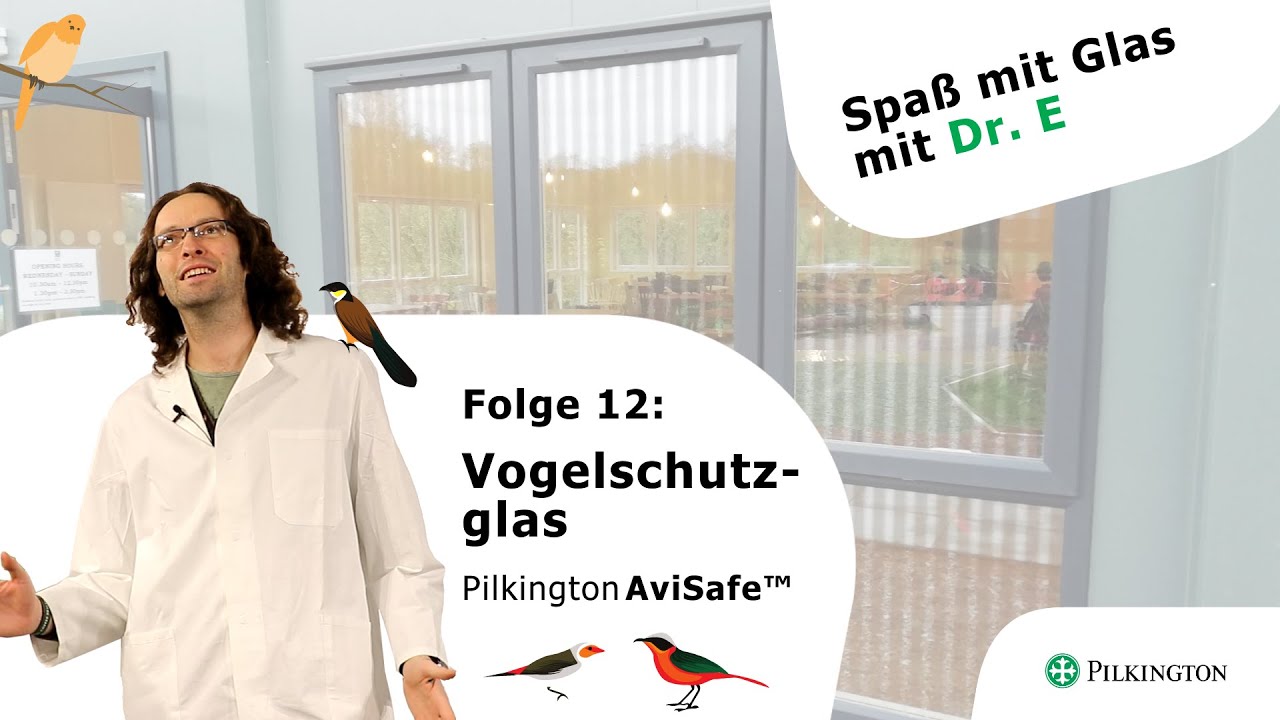 Vogelschutzglas 🐦🦅 Pilkington 𝗔𝘃𝗶𝗦𝗮𝗳𝗲™ - SPASS MIT GLAS FOLGE 12