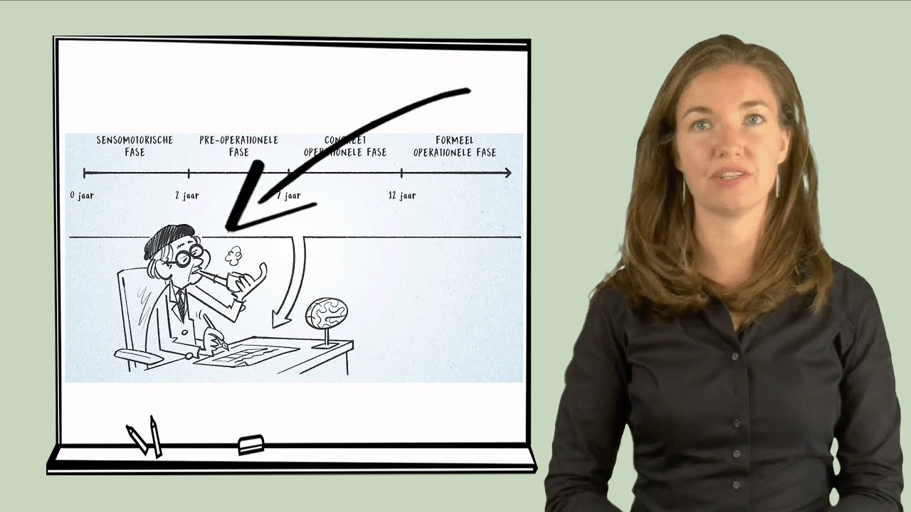 Cognitieve ontwikkelingstheorie van Jean Piaget (deel 1 van 3) - Ontwikkelingsfases