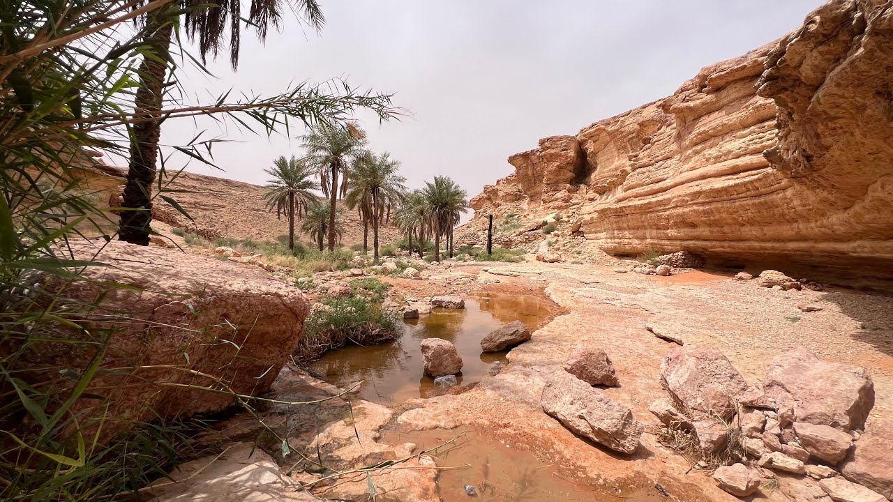 بحيرة الدريسية وعين او قاطور علقة وروضة الكسر وروضة زبدة