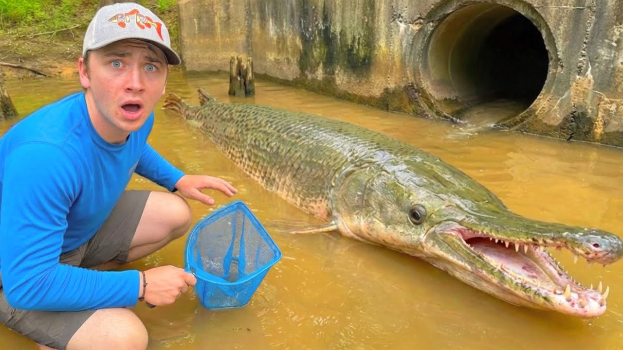 CATCHING INVASIVE FISH in FLOODED SWAMP!