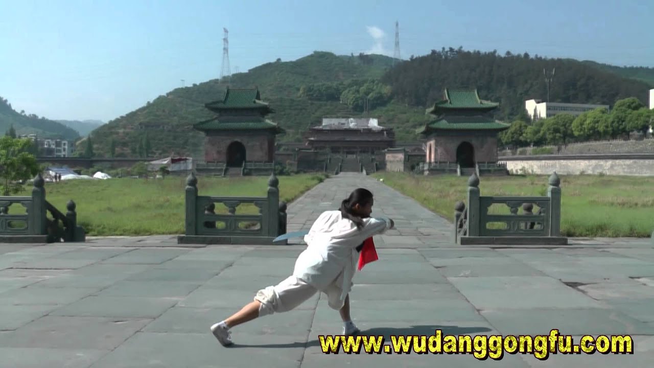 Wudang Kungfu - Weekly Evaluation (Vid.3) - Chinese and Foreign Students