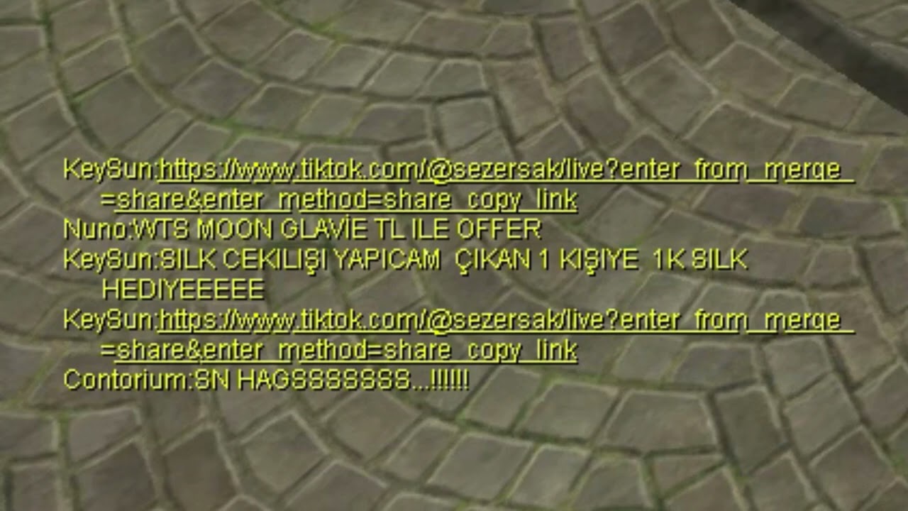 Rise Online VİP Vs SİKİLEN_NIGHT  Job War