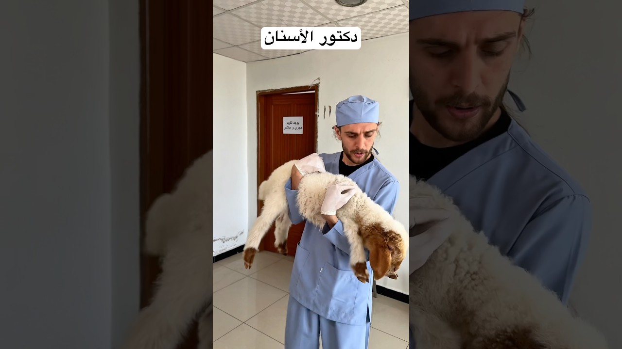 أخطاء وعثرات 😂💔 | فادي المعاز