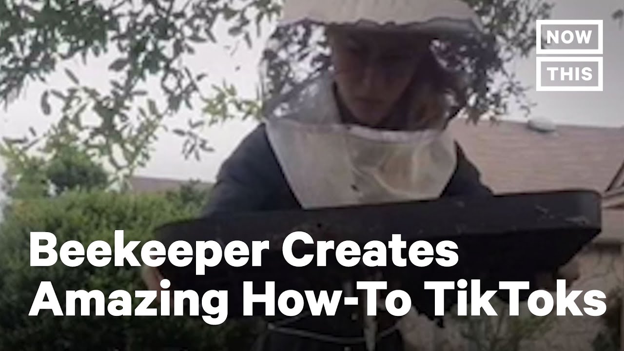 Viral Beekeeper TikTok Compilation | NowThis