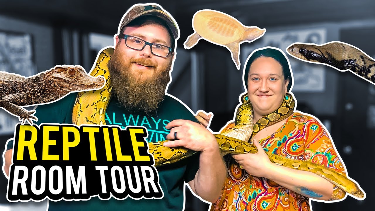 Unbelievable Reptile Room Tour At The Chambers!