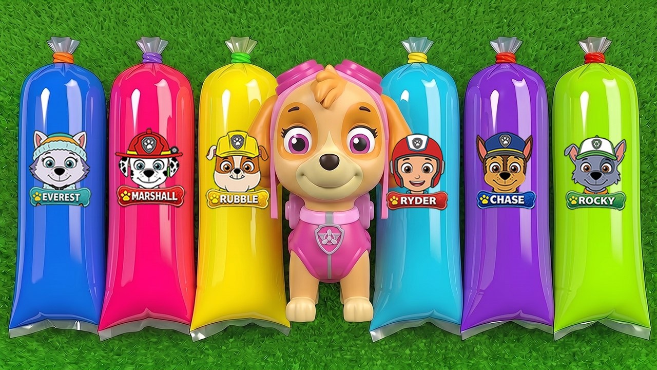 All Best Paw Patrol Toys | Skye, Ryder, Rubble, Everest, Marshall, Rocky, Chase, Zuma, Robo- dog