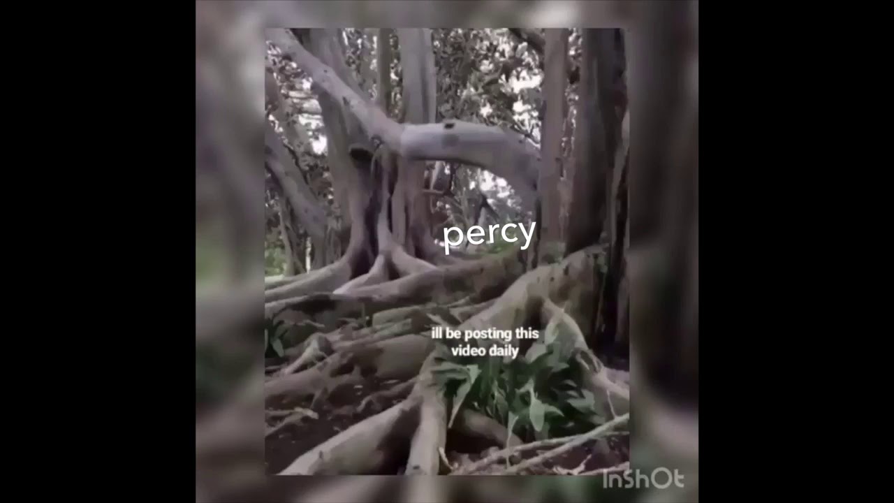 percy jackson and hoo characters as vines