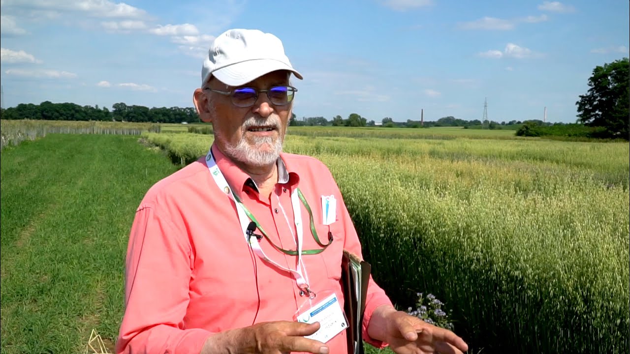 Owies ozimy część 1