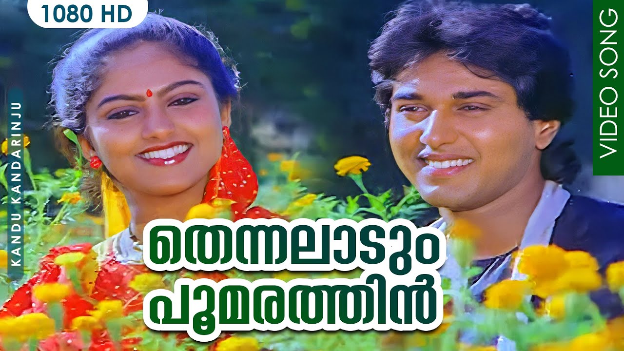 Thennalaadum Poomarathin | Malayalam Movie Song | K.S Chithra | Rahman | Nadiamoidu | Shankar