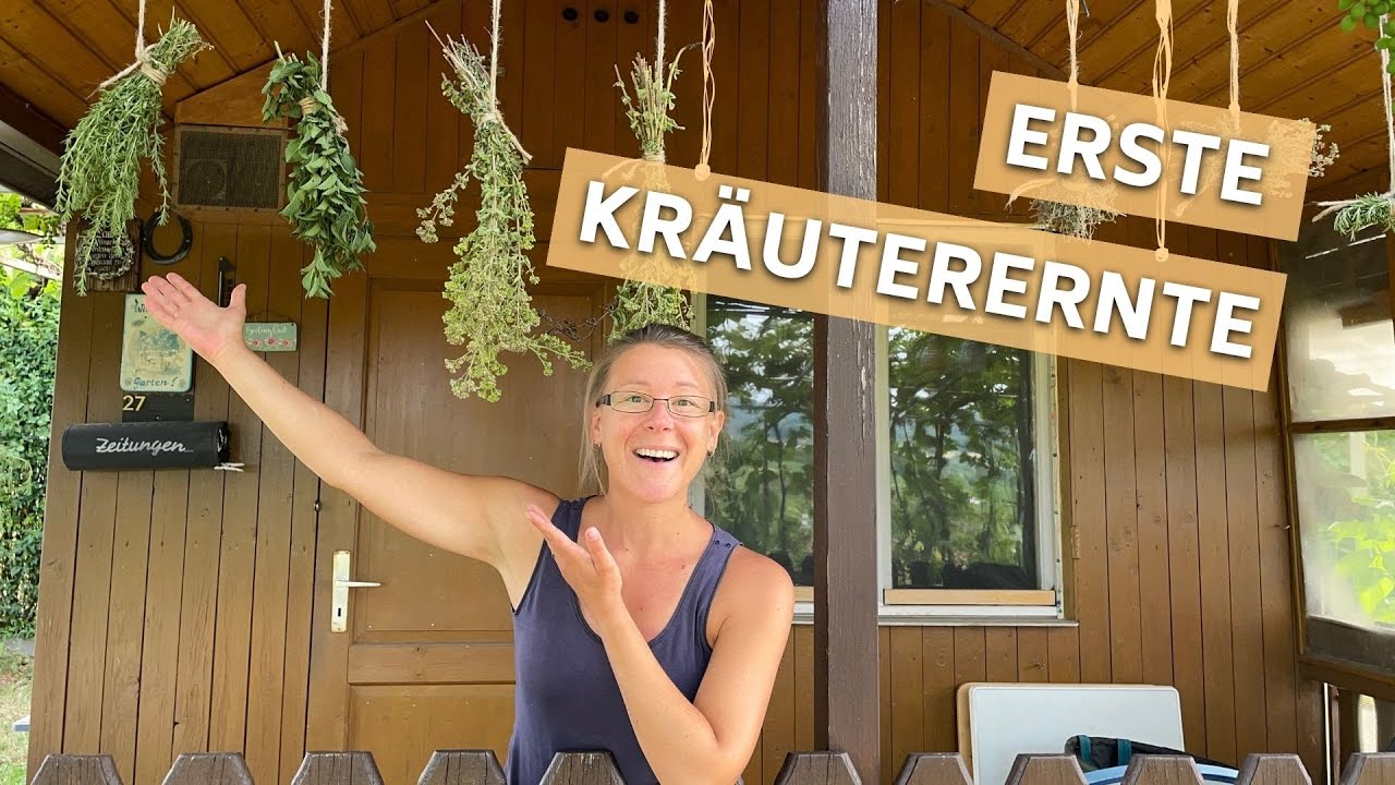 Kräutergarten Tipps I Ernten, Trocknen & Lagern