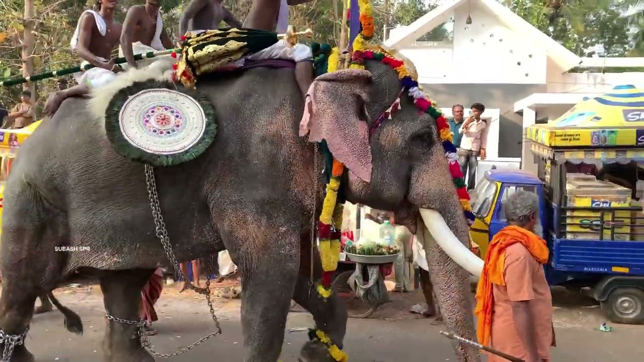 കുന്നംകുളം ചീരംകുളം പൂരം2026 #kunnamkulam #pooram #pooramvibes #festival #festivevibes 