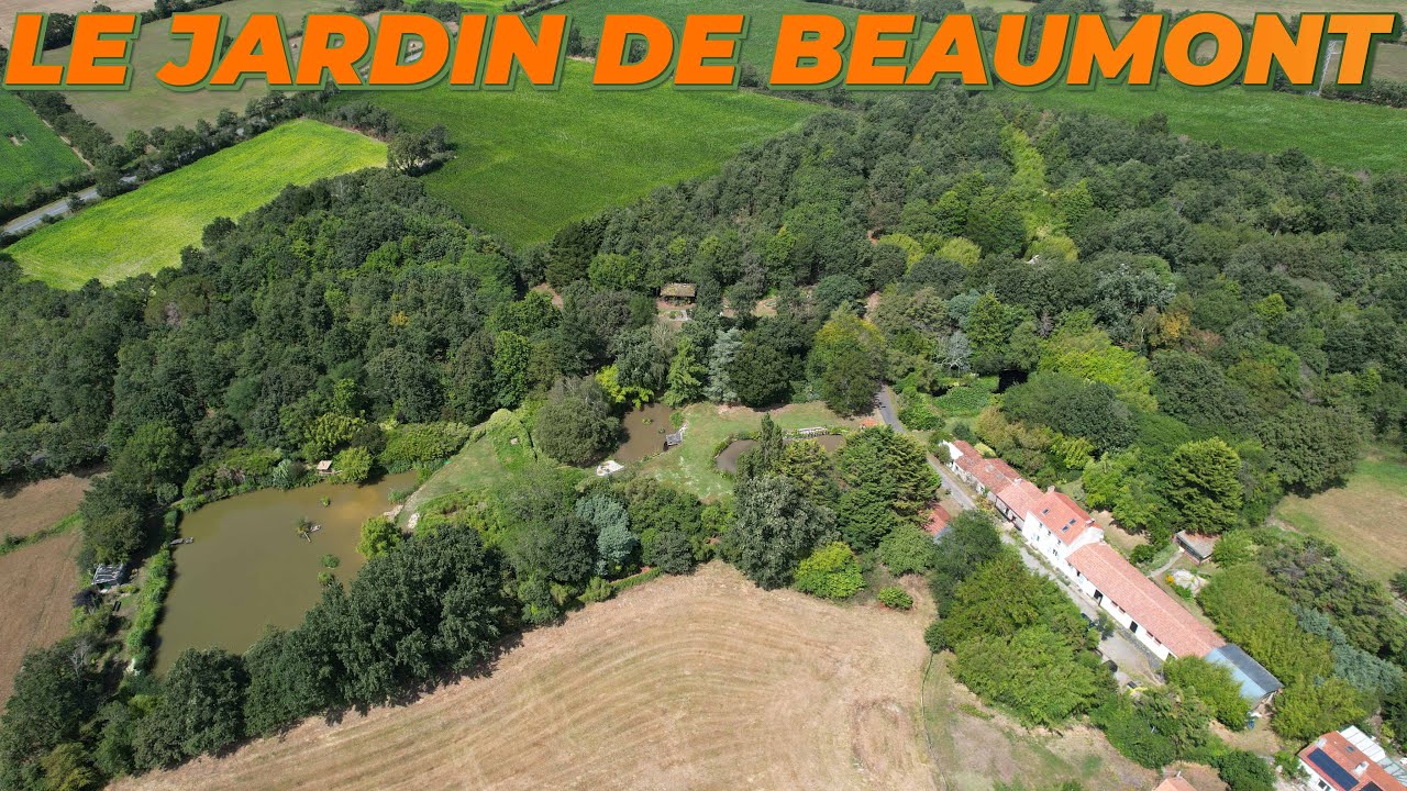 Les 100 Variétés de BAMBOU au Parc et Jardin de Beaumont 🎋