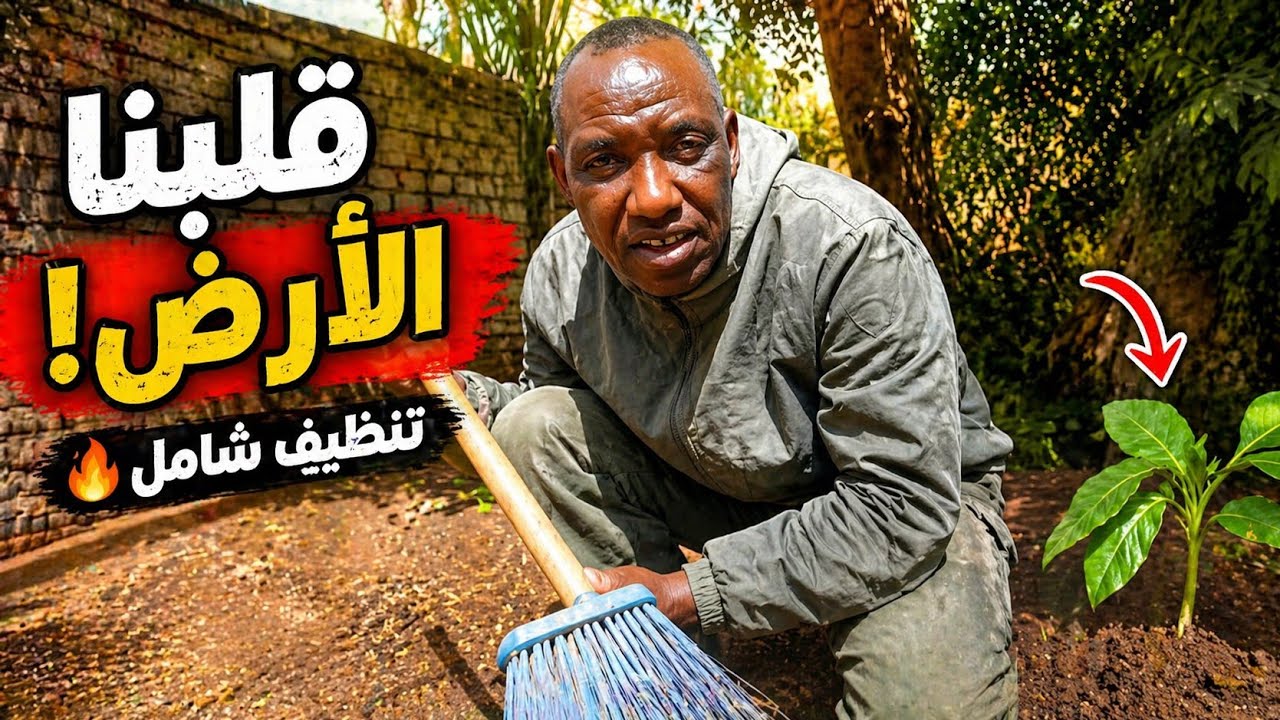 نظفنا الأرض وروقنا مكان الطيور.. ولقمة نظيفة للطيور وختمناها بأحلى رنجة بالزيت والليمون 