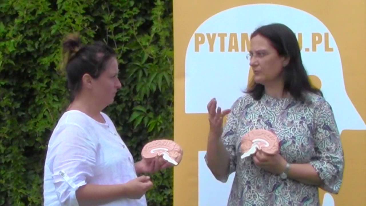 Opowieść o dw&oacute;ch m&oacute;zgach