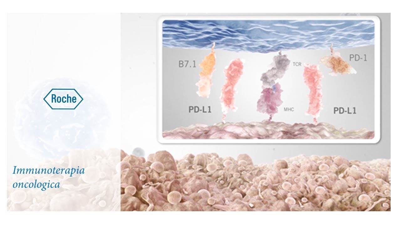 Immunoterapia oncologica: il ruolo del PD-L1