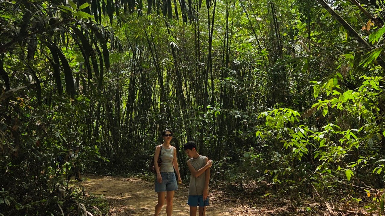 Day 6 카오속 국립공원 트레킹 + 뱀부 래프팅. Khao Sok National Park Trekking + Bamboo Rafting Tour. カオソック国立公園トレッキング.
