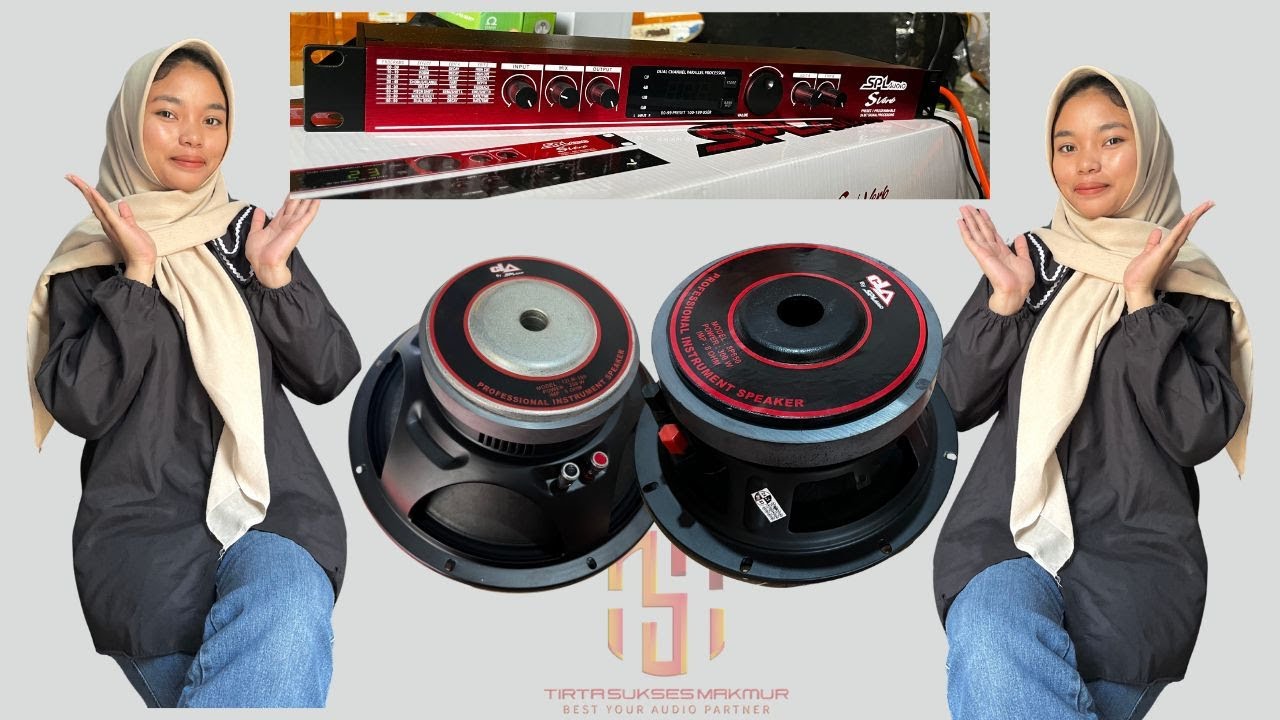 VERB/EFEK SPL AUDIO-SPEAKER 8P650-12LM-350 BOSKUU