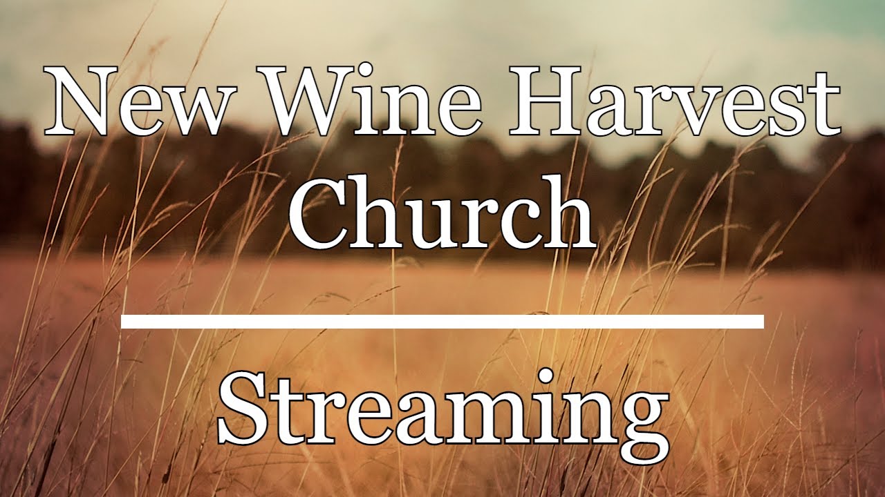 February 22nd, 2026 - 