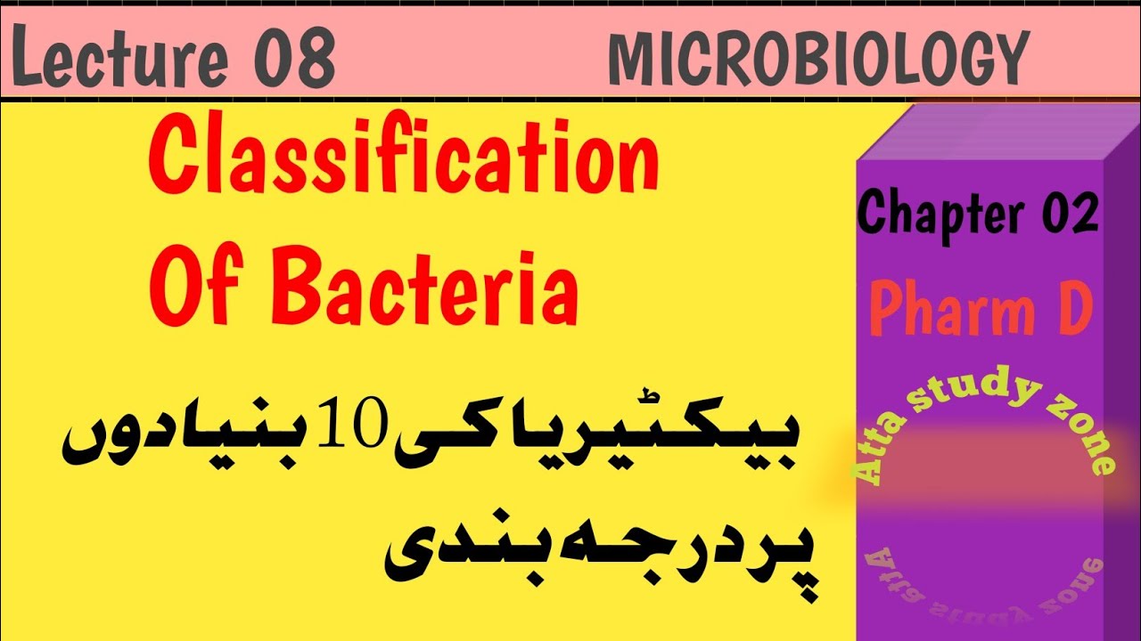 Classification of bacteria / Pharm B / Pharm D
