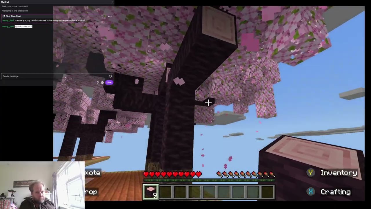 Minecraft Mountain survival day 8