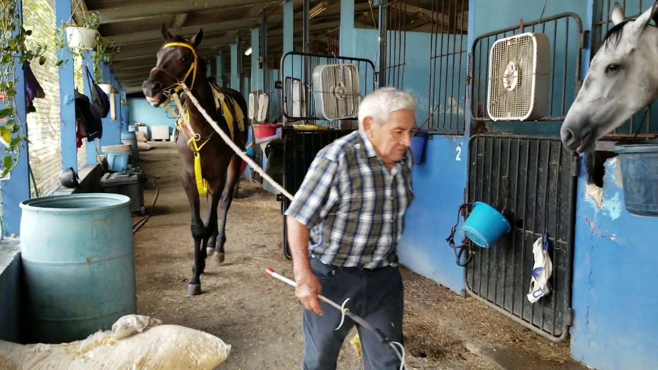 JOSE 