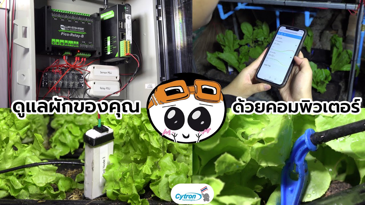 สร้าง Smart Farm ด้วย Raspberry Pi (Smart Vertical Farm EP.2)