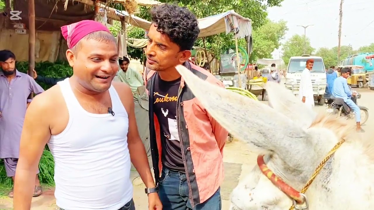 NAYA ABBA PURANA GADHY 😅 || नया अब्बा पुराना गधा