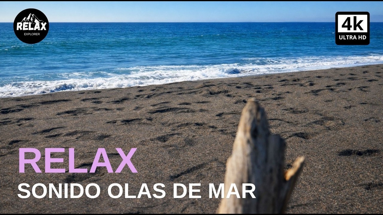 Sonidos mar para relajarse para dormir aire olas para desconectar , sound sea nature air