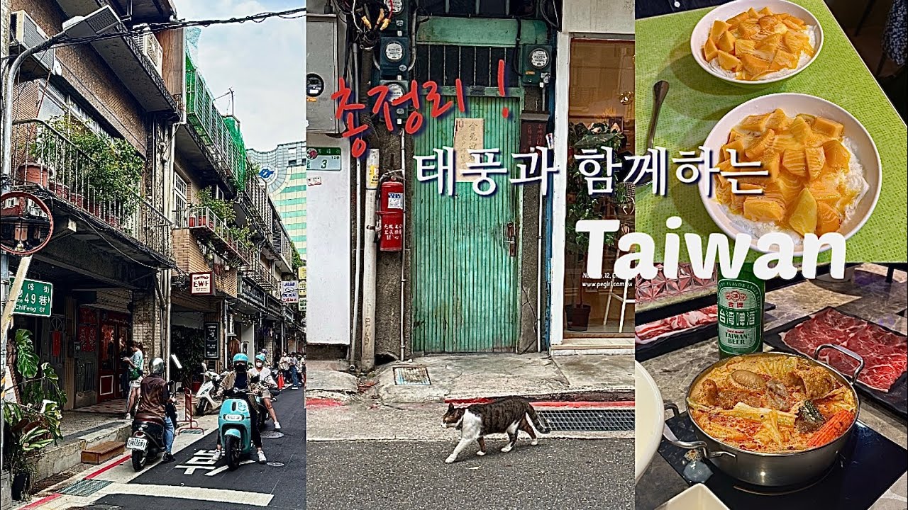 🇹🇼 5박6일 대만 타이베이 여행 브이로그 ep.3 🌪️ 대만여행총정리‼️ 대만현지맛집•중산카페거리•대만소품샵•인생망고빙수집💛•딘타이펑•용허또우장•지아펀우유훠궈•대만여행코스
