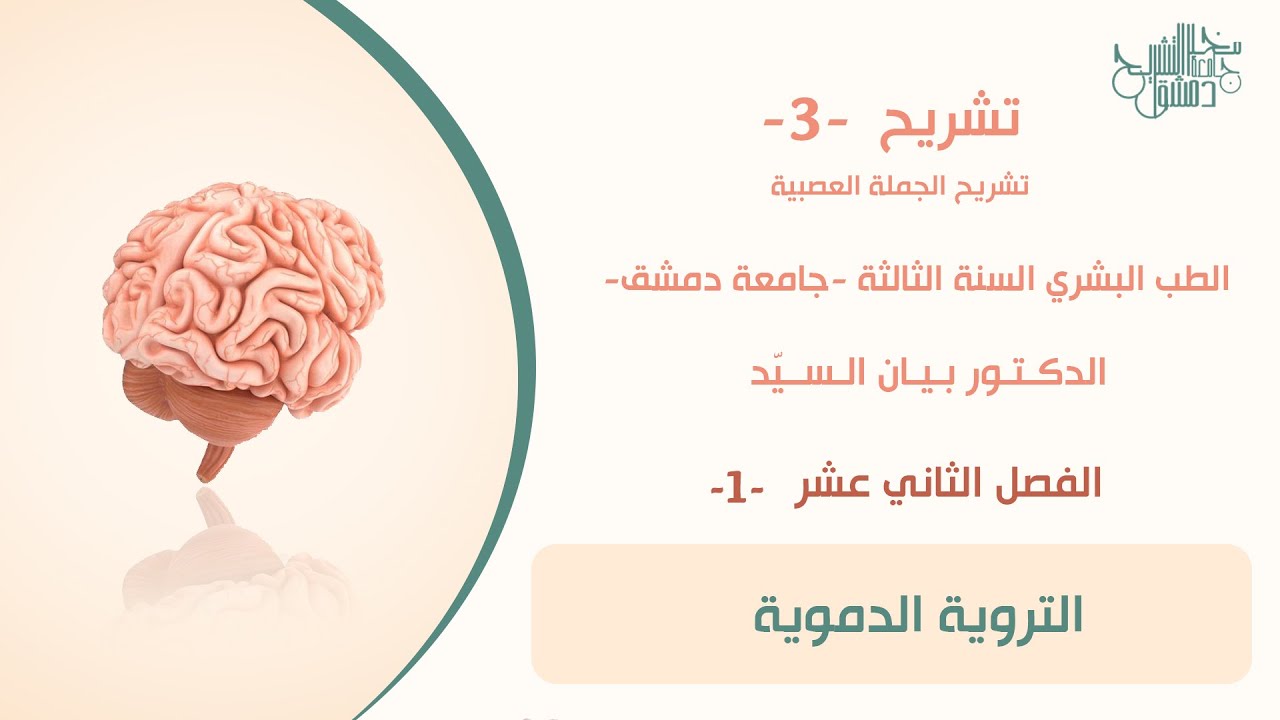 تشريح 3 | الفصل الثاني عشر -1- | التروية الدموية | د. بيان السيد